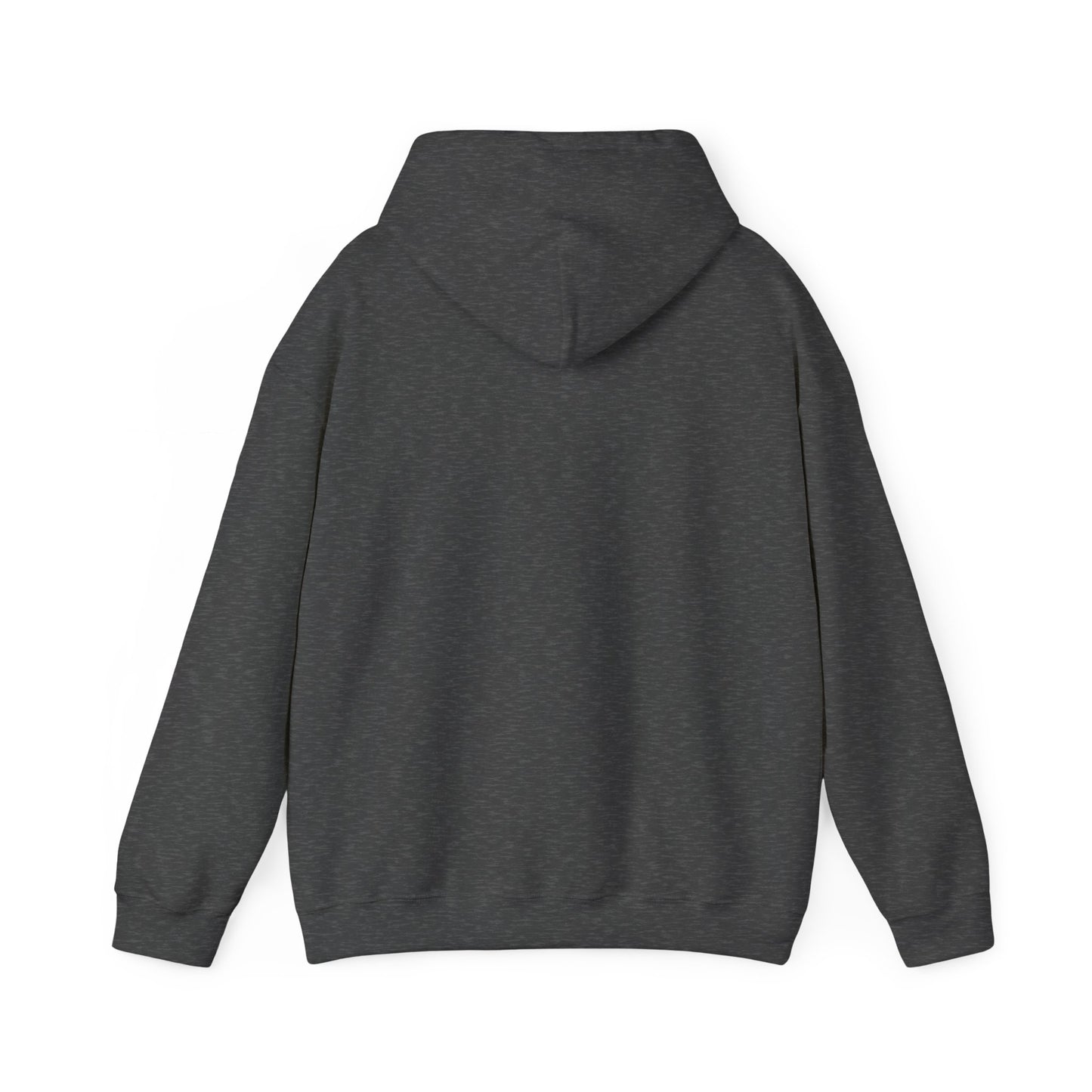 BAYGIRL VARSITY COMFORT HOODIE (UNISEX FIT)