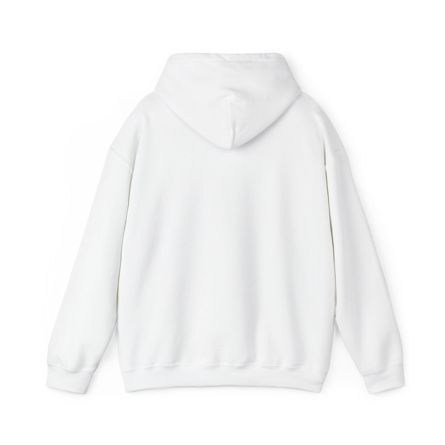 SANS SOUCI PICKLEBALL 3.0 COMFORT HOODIE (UNISEX FIT)