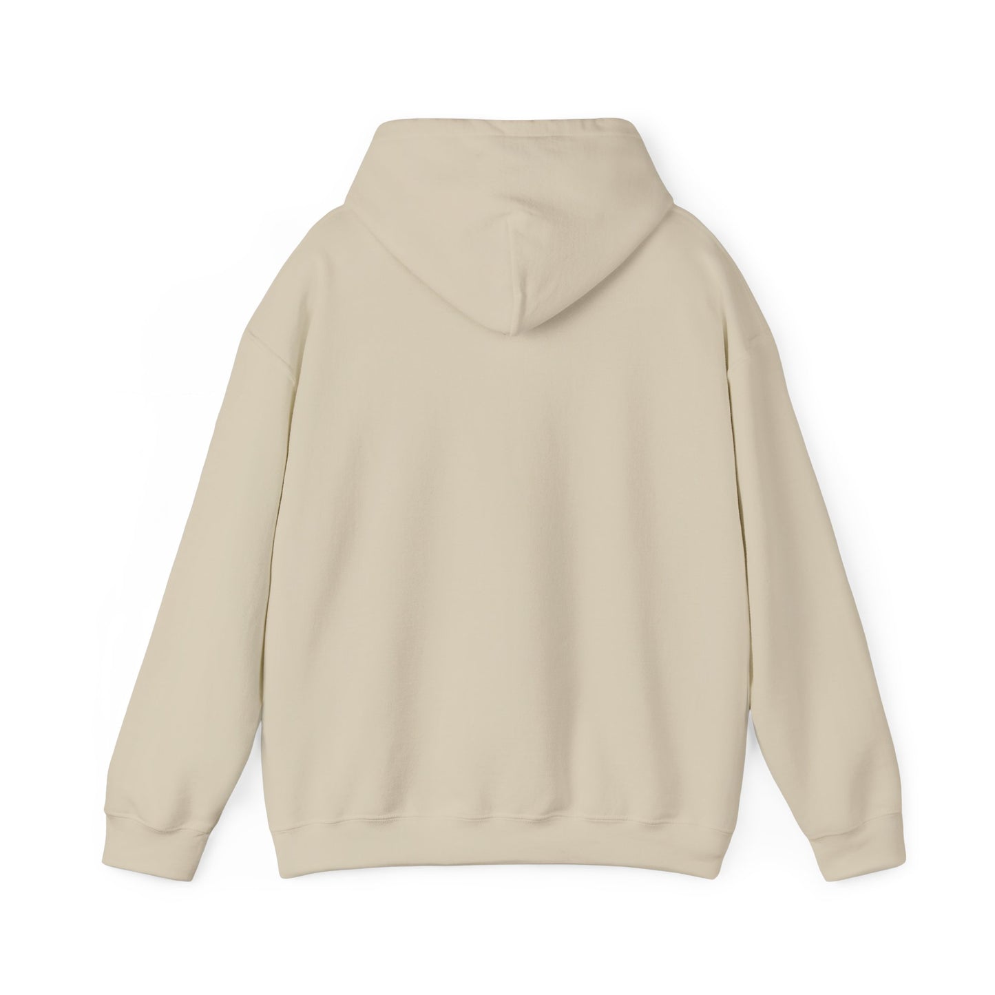 BAYGIRL VARSITY COMFORT HOODIE (UNISEX FIT)