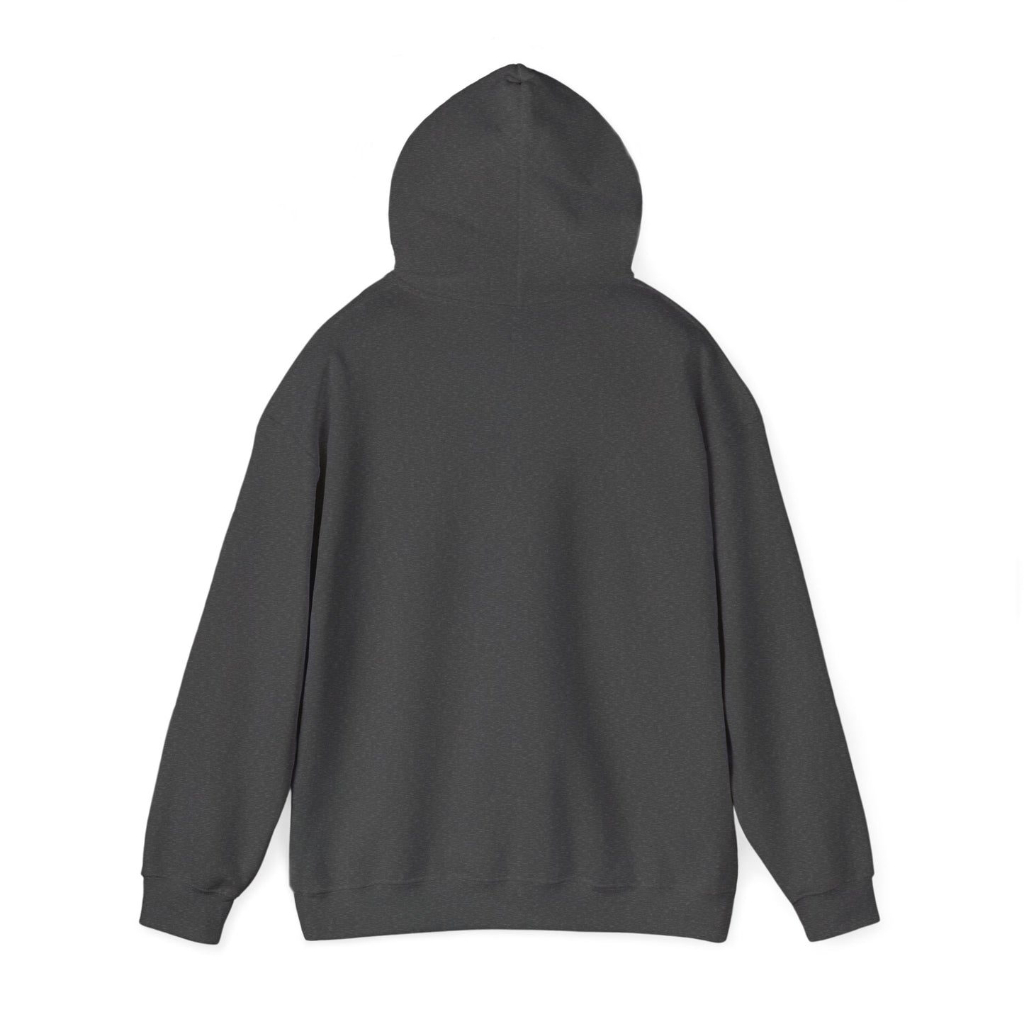 BAYGIRL VARSITY COMFORT HOODIE (UNISEX FIT)
